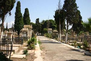ORAN 2008 CIMETIERE DE TAMASHOUET 102 Alleeprincipale2